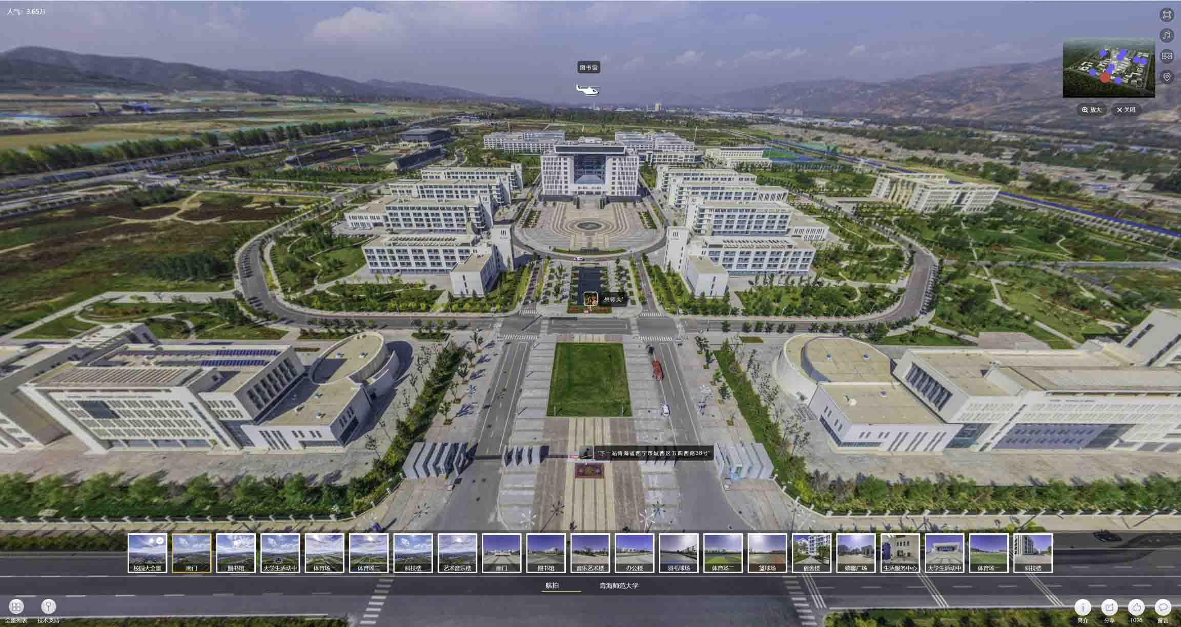 岱山油菜花-惊艳半生的花海仙境